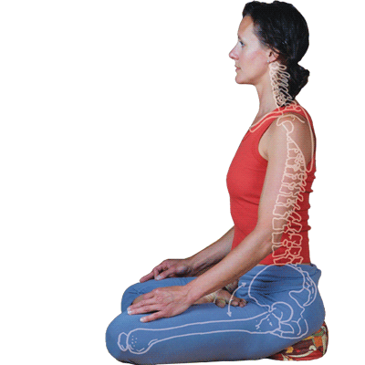 Can Meditation Help With Cortisol? A Natural Way to Reduce Stress Hormones